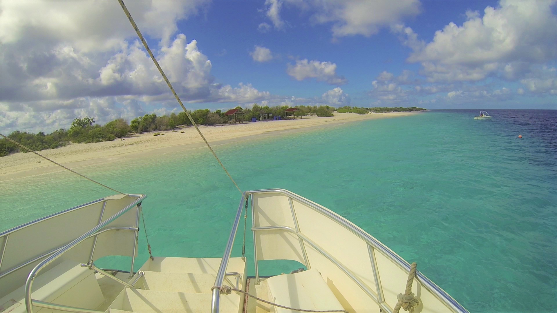 Bonaire Snorkeling Guide